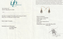 Load image into Gallery viewer, Salt &amp; Pepper Diamond Tear Drop Earrings