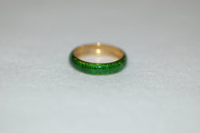 Load image into Gallery viewer, Hidalgo Wide Enamel Band Ring