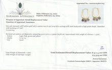 Load image into Gallery viewer, Fancy Diamonds Hoop Earrings